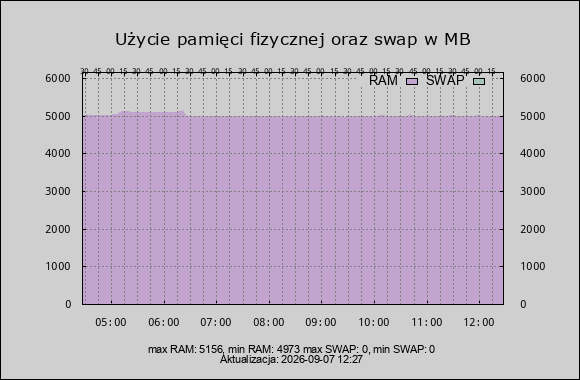 wykres zużycie ram